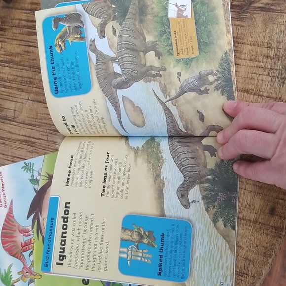 📚 Two Dinosaur Paperback Books French & English 📚 - Picture 4 of 8